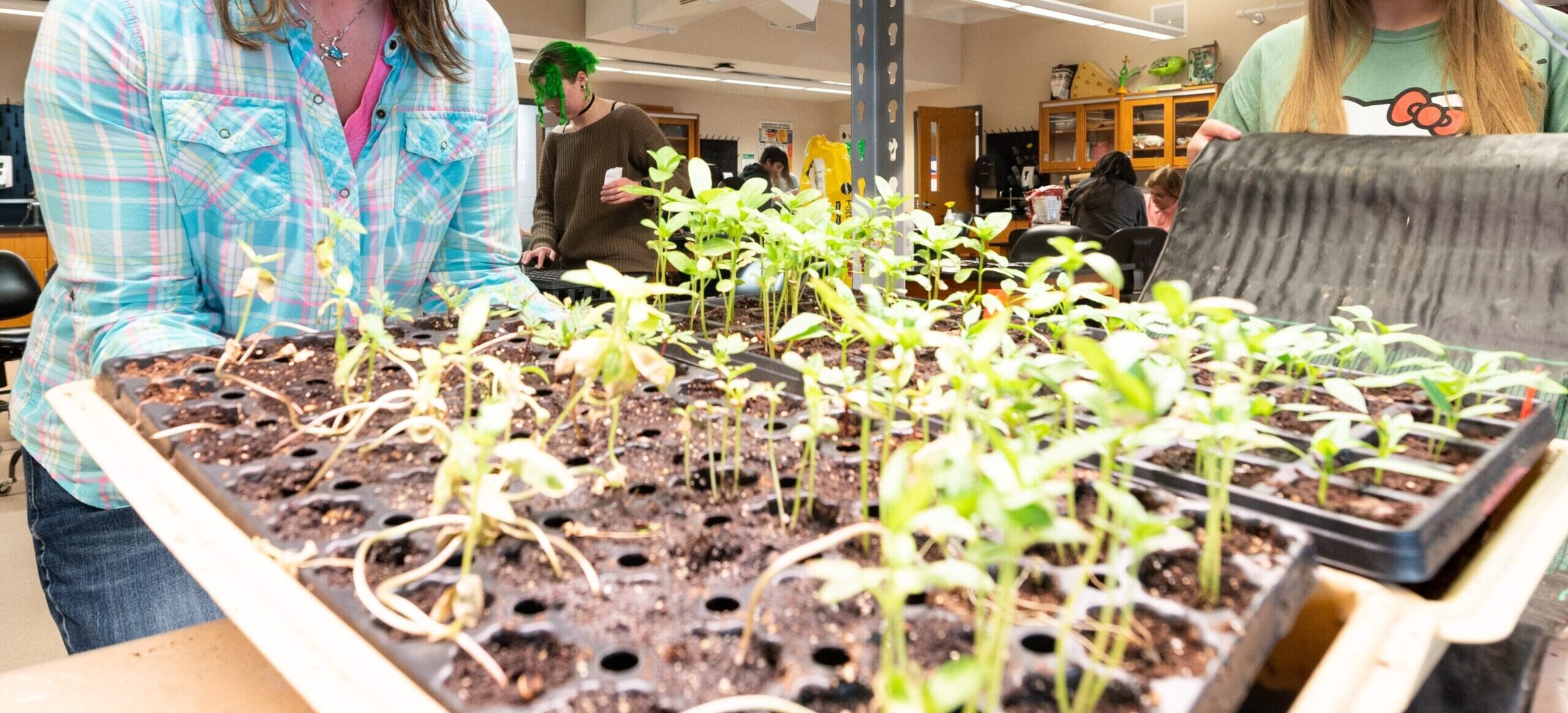 Ag Science lab with plants